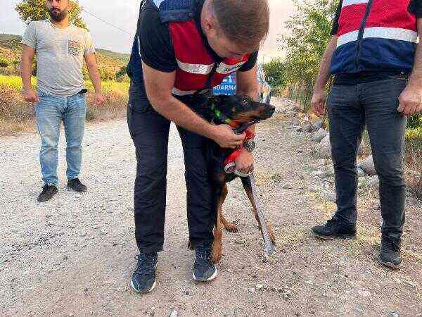 Korhan Berzeg 200 gündür kayıp! Soruşturmada dikkat çeken aile ve köpek detayı