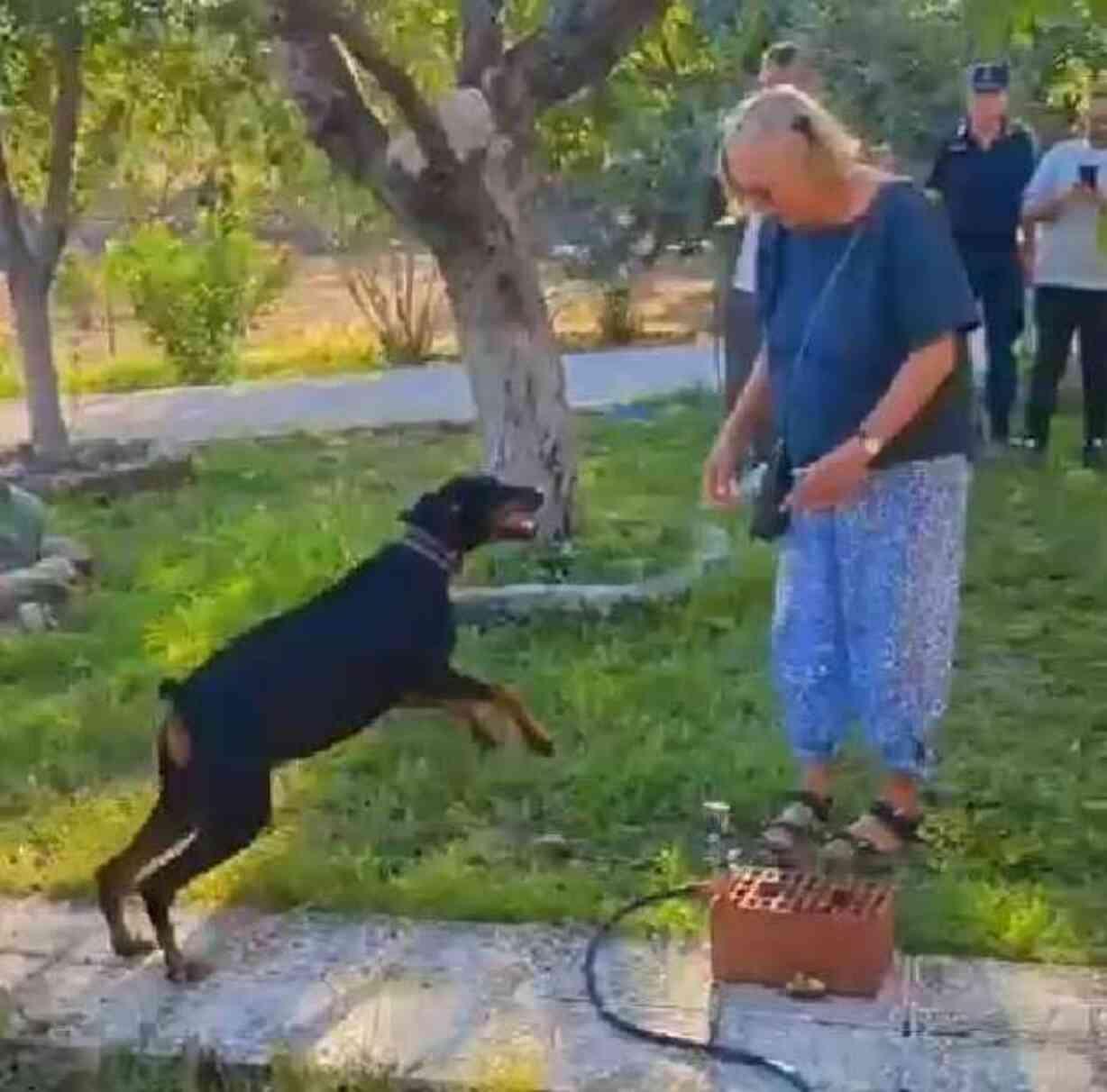 Korhan Berzeg 200 gündür kayıp! Soruşturmada dikkat çeken aile ve köpek detayı