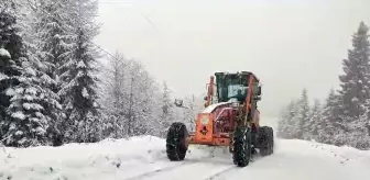 Trabzon'un yüksek kesimlerinde kar yağışı