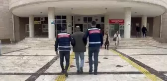 Şanlıurfa'da yapılan baskında 273 sikke ve 47 obje ele geçirildi, 1 şüpheli gözaltına alındı