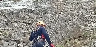 Amasya'da düştüğü kayalıklarda mahsur kalan keçi AFAD ekiplerince kurtarıldı