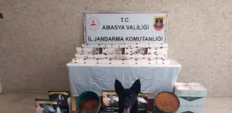 Amasya'da kaçak tütün ve makaron operasyonu: 16 kilo tütün ele geçirildi