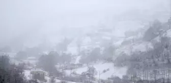 Giresun'un Kümbet Yaylası'nda Kar Yağışı
