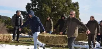 Spil Dağı Milli Parkı'nda Yaban Hayvanlarına Yemleme Çalışması Yapıldı