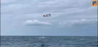 Bartın'da kaybolan gemi mürettebatı için arama çalışmaları devam ediyor