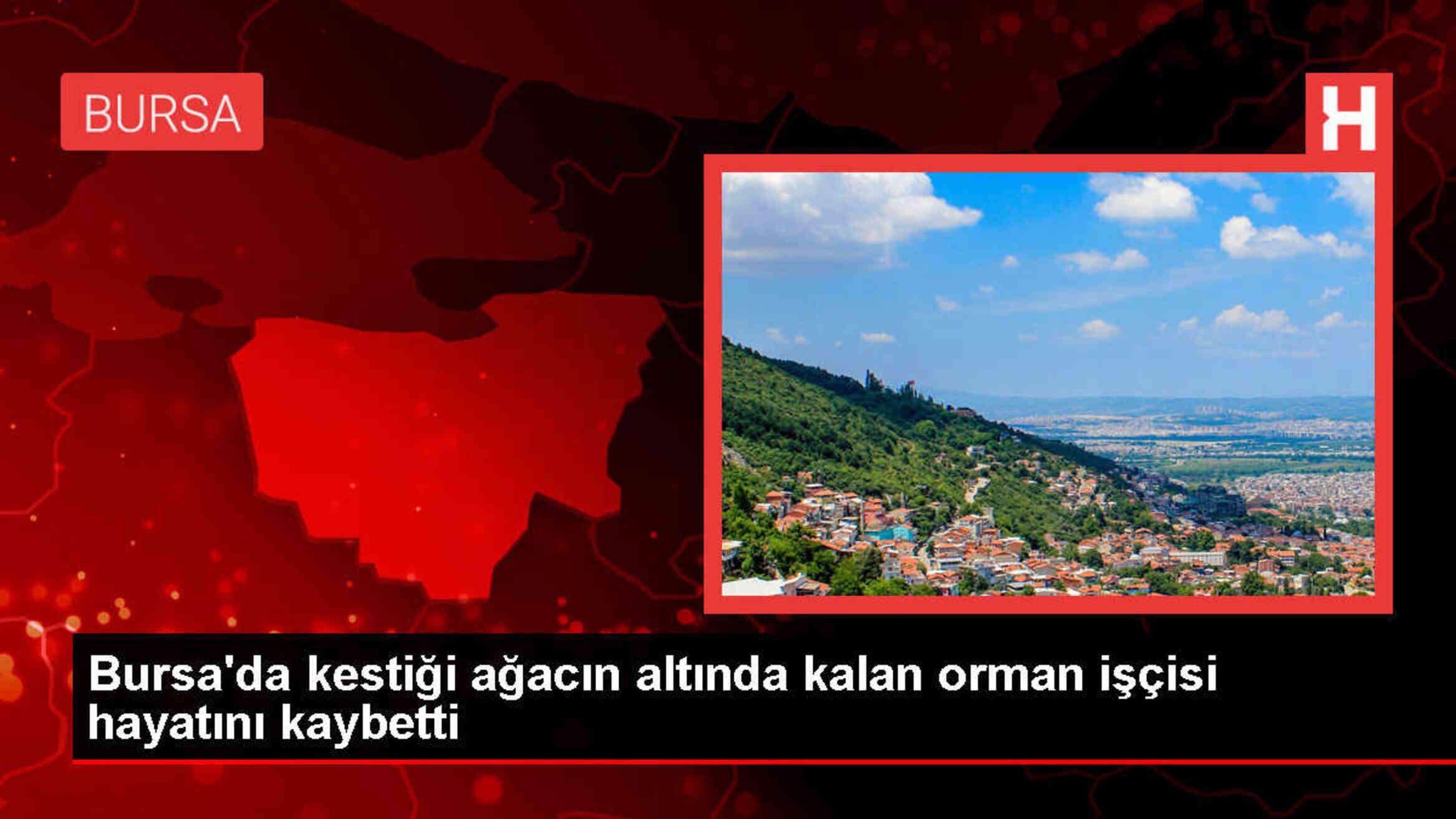 İnegöl'de Ormanda Kesim Sırasında Ağaç Altında Kalarak Ölen İşçi