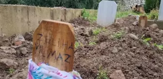 Babaannesinin Mezarının Başında Kaybolan Köpeği Buldu