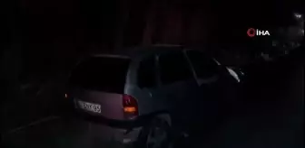 Afyonkarahisar'da kontrolden çıkan otomobil şarampole girdi