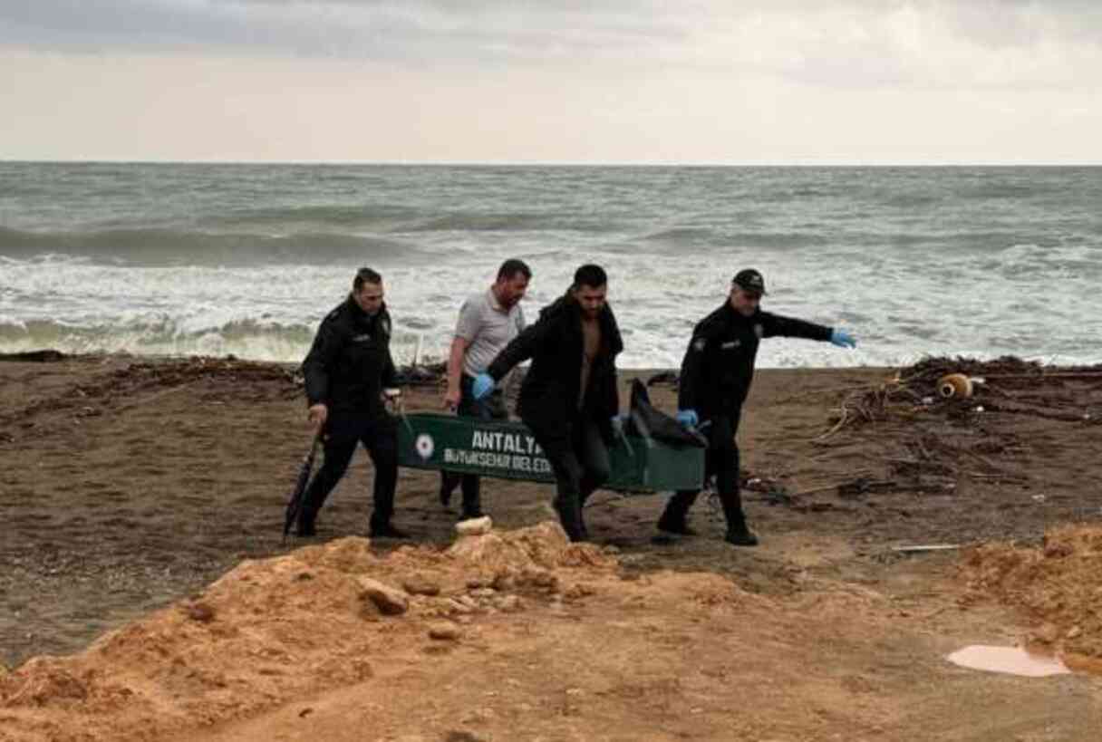Antalya sahiline 5 günde 6 ceset vurmuştu! Bir cansız beden de Muğla'da bulundu Antalya sahiline 5 günde 6 ceset vurmuştu! Bir cansız beden de Muğla'da bulundu