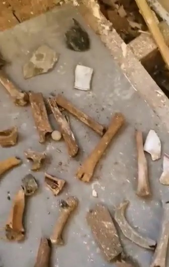 İngiltere'de su tesisatçısı, tamir için gittiği 200 yıllık evin zeminini kazınca bir yığın kemik buldu