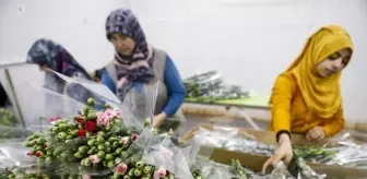 Kahramanmaraş depremi kurbanları için 100 bin kırmızı karanfil gönderildi