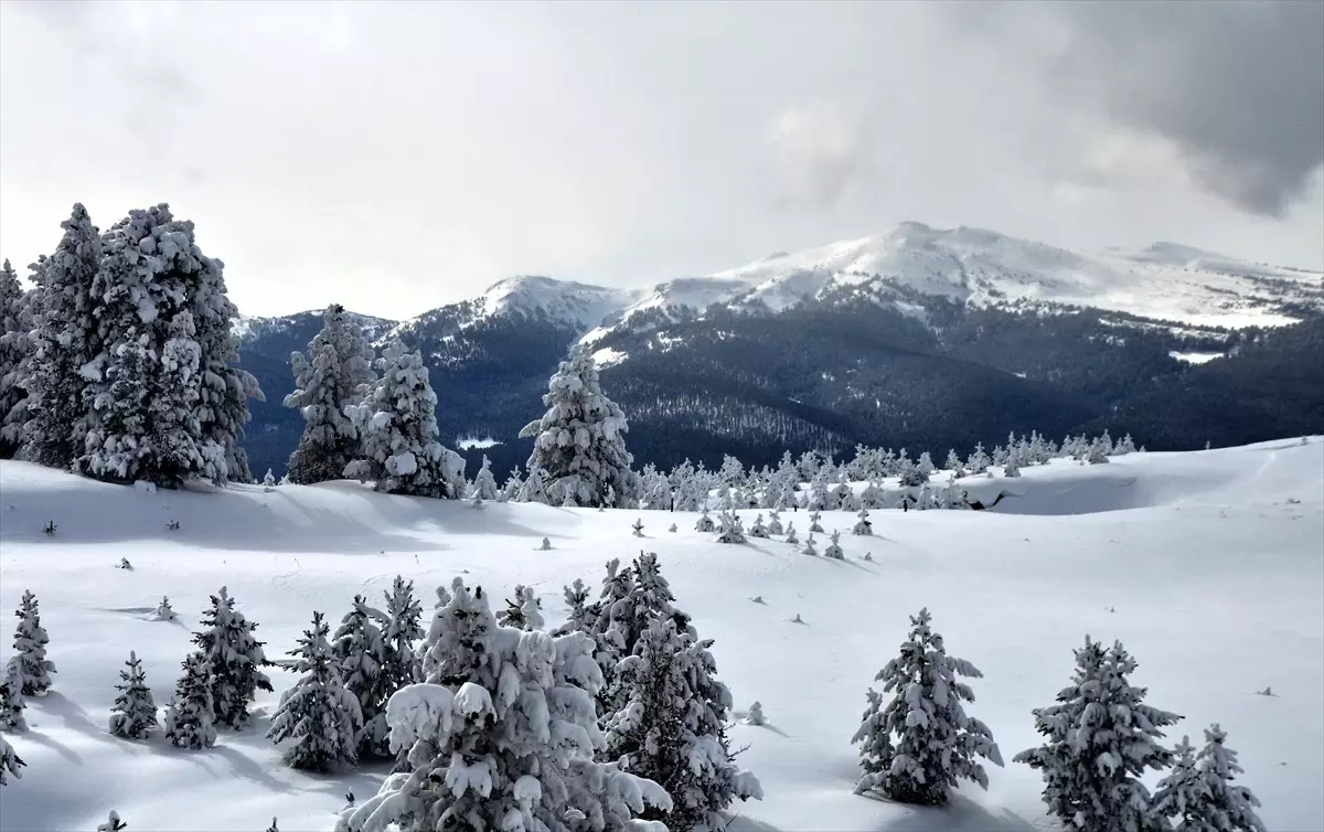 Erzurum Ardahan Ve Kars Ta So Uk Hava Etkili Olumsuzluklara Neden