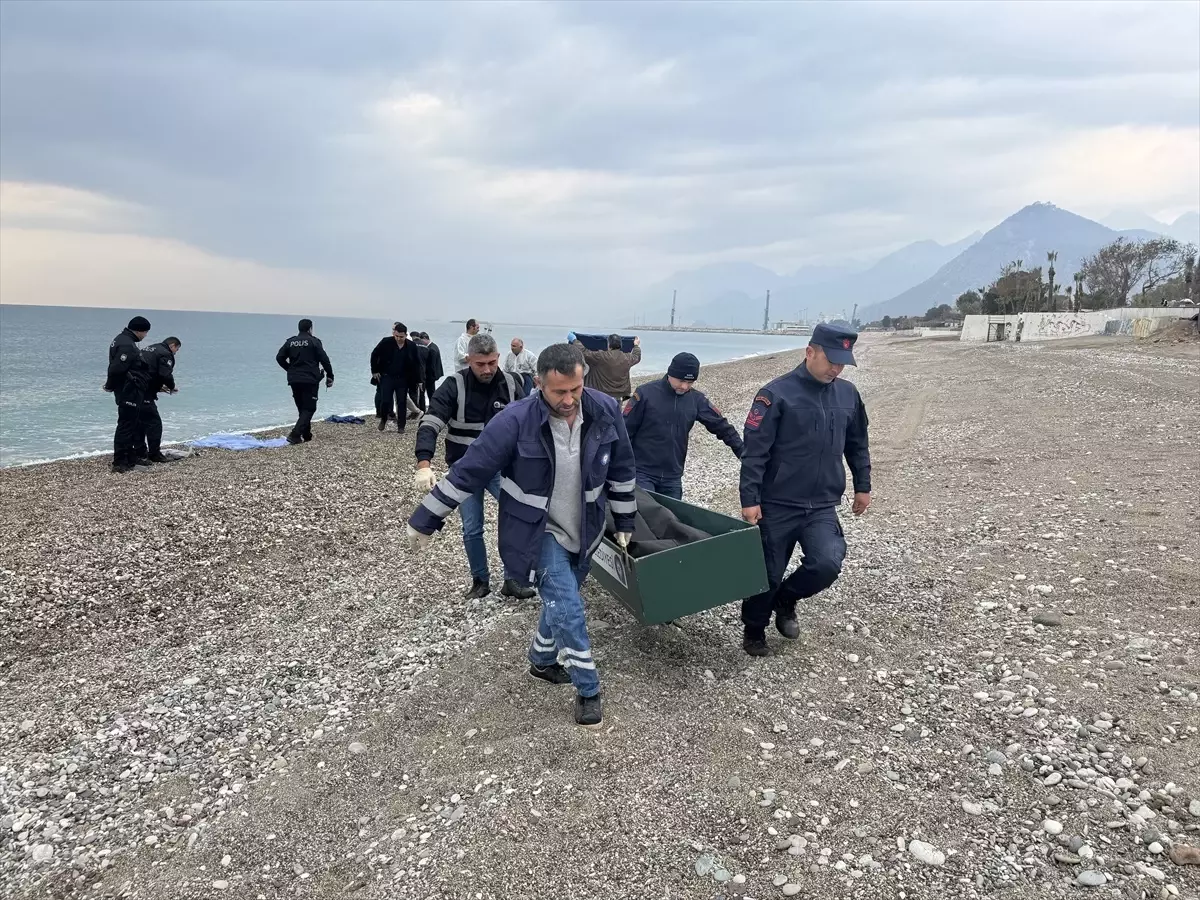 Antalya Konyaalt Sahilinde Erkek Cesedi Bulundu Son Dakika