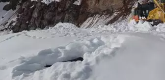 Artvin'de yol açma sırasında çığ altında kalan iş makinesi 10 gün sonra çıkartıldı