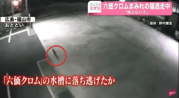 Japonya'da zehirli kimyasal madde içeren tanka düşen kedi, Fukuyama şehrini alarm durumuna geçirdi