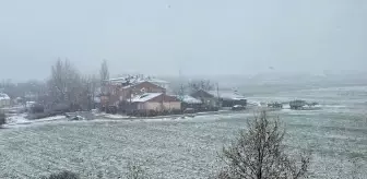 Baskil'de kar yağışı etkili oldu