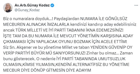 İYİ Parti'de isimler ikiye çıktı! Genel Başkan Yardımcısı Mehmet Tolga Akalın da başkanlığa aday