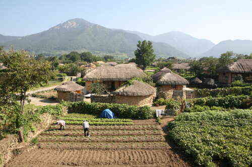 Doğal Güzelliği ile Keşfedilmeyi Bekleyen Bir Güney Kore Şehri: Suncheon Doğal Güzelliği ile Keşfedilmeyi Bekleyen Bir Güney Kore Şehri: Suncheon