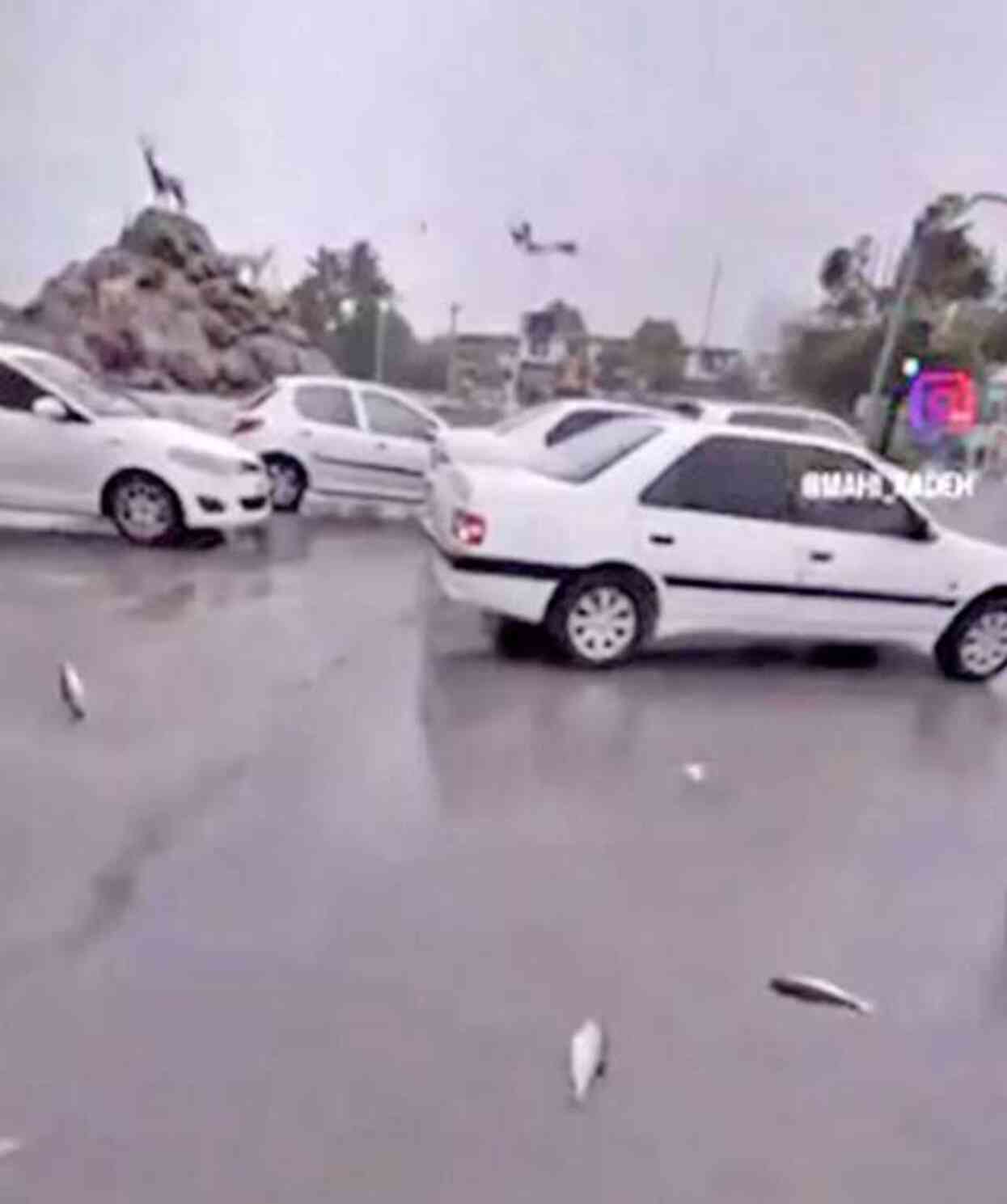 İran yaşanan şiddetli yağış esnasında gökten canlı balık yağdı yağdı İran yaşanan şiddetli yağış esnasında gökten canlı balık yağdı yağdı