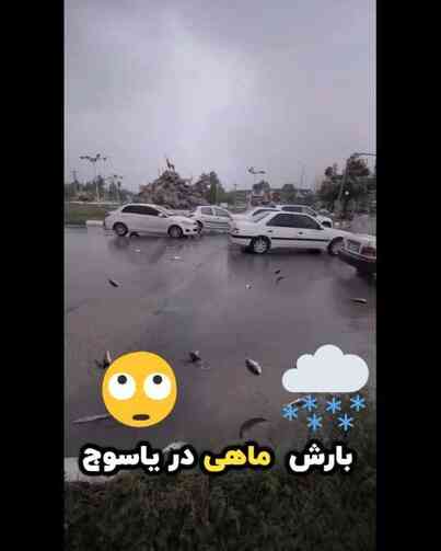 İran yaşanan şiddetli yağış esnasında gökten canlı balık yağdı yağdı İran yaşanan şiddetli yağış esnasında gökten canlı balık yağdı yağdı