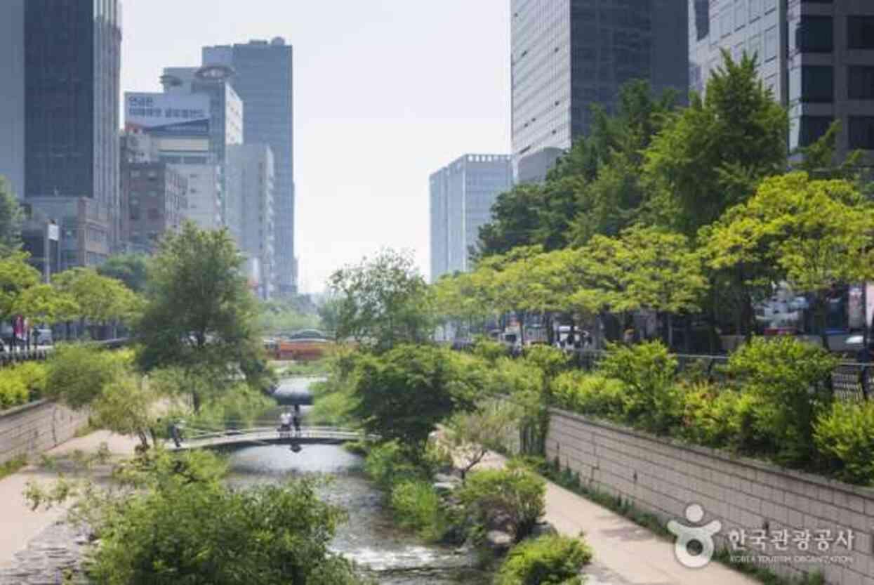 Seul'un Kalbinde Bir Vaha: Cheonggyecheon Deresi