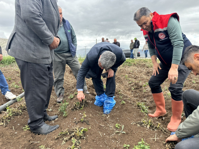 Milletvekili, çiftçinin tarlasını ayağında galoşla inceledi