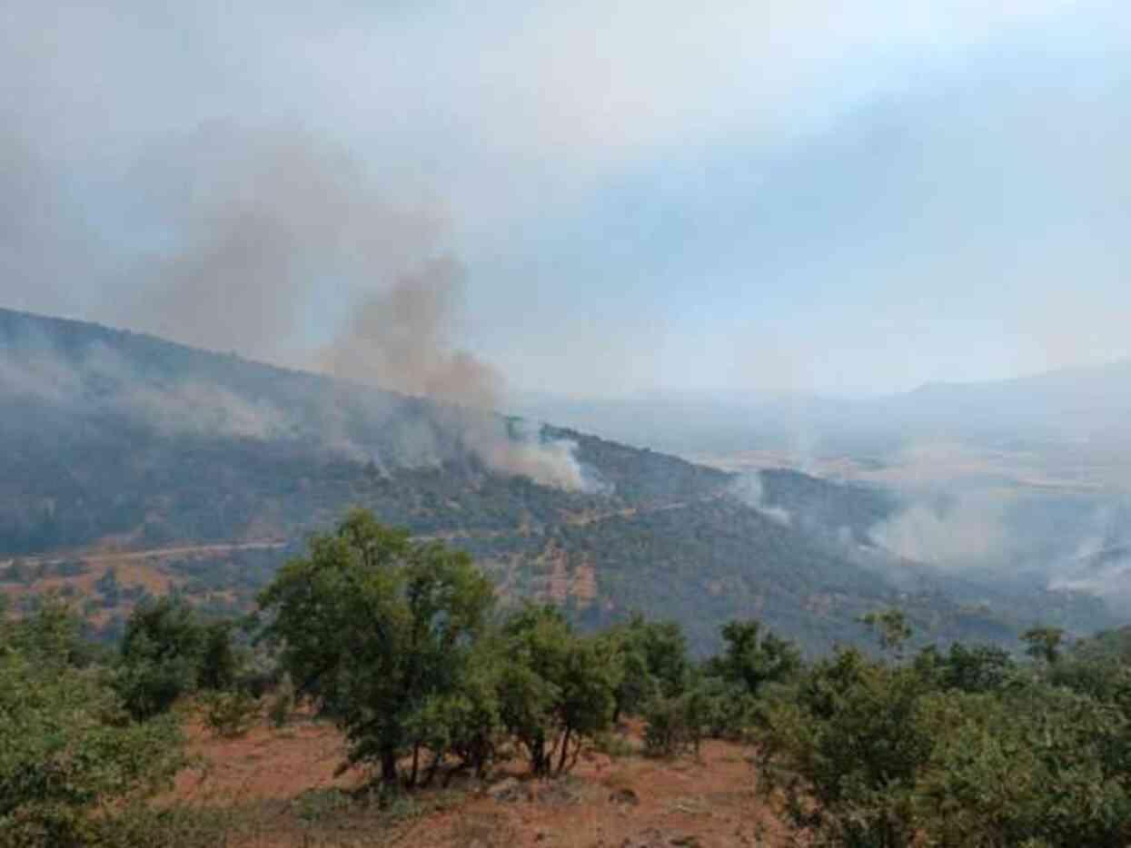 Alevler evlere kadar ulaştı! Manisa'da orman yangını saatlerdir söndürülemiyor