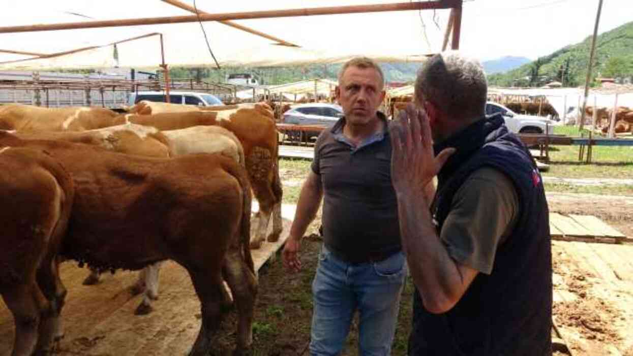 Kurbanlık hayvanı istediği fiyattan almak için dakikalarca pazarlık yaptı: Benim için zarar et İsmail