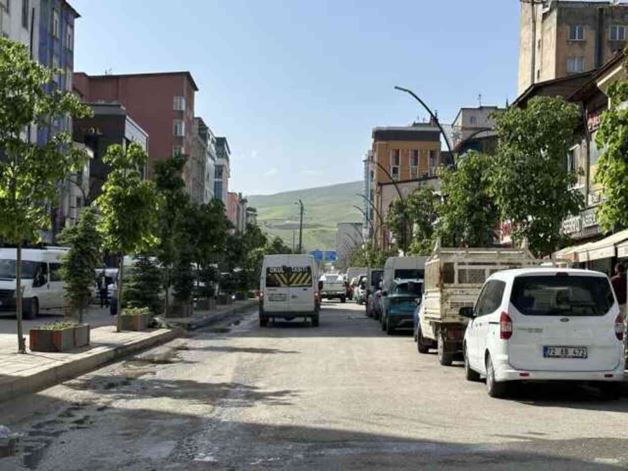 Yolun bir tarafındaki ağaçlar kurudu diğer tarafındakiler yeşillendi Yolun bir tarafındaki ağaçlar kurudu diğer tarafındakiler yeşillendi