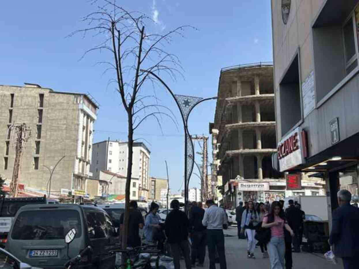 Yolun bir tarafındaki ağaçlar kurudu diğer tarafındakiler yeşillendi Yolun bir tarafındaki ağaçlar kurudu diğer tarafındakiler yeşillendi