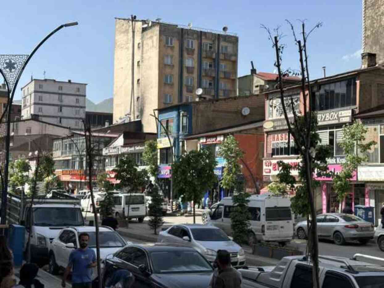 Yolun bir tarafındaki ağaçlar kurudu diğer tarafındakiler yeşillendi Yolun bir tarafındaki ağaçlar kurudu diğer tarafındakiler yeşillendi