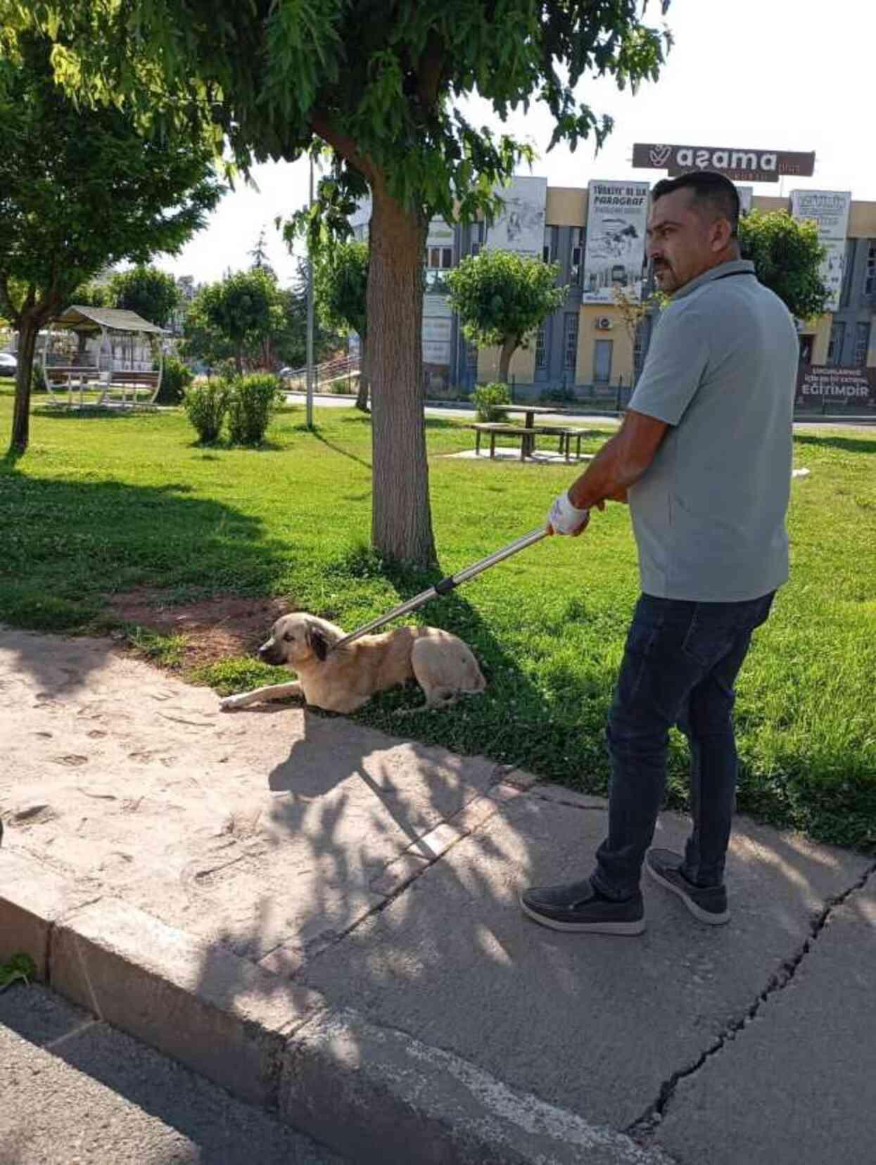 Şanlıurfa'da kuduz köpeğin ısırdığı adam karantinaya alındı