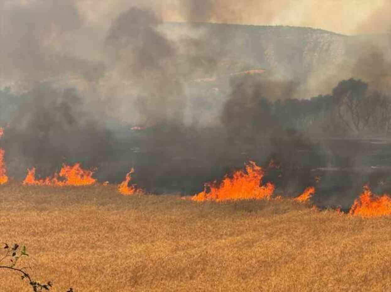 Çanakkale, Kütahya, Uşak ve Sinop'ta orman yangını! Köylere uyarılar yapıldı