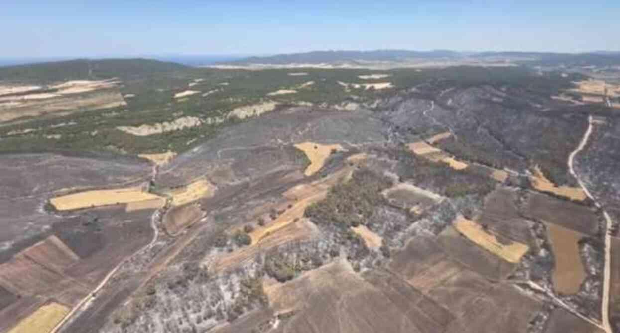 Çanakkale Eceabat'ta dünden beri devam eden orman yangını kontrol altına alındı