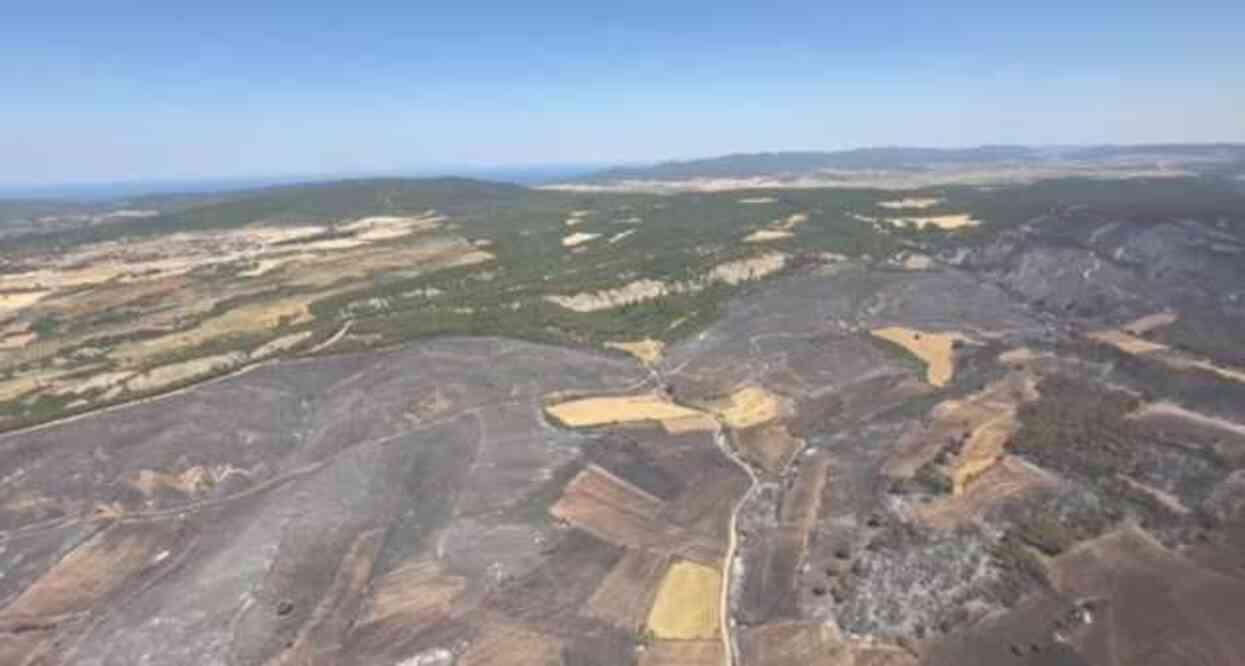 Çanakkale Eceabat'ta dünden beri devam eden orman yangını kontrol altına alındı