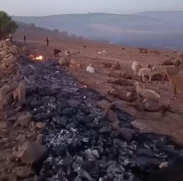 Diyarbakır'daki yangından kahreden görüntü! Hem ağladı, hem kaydetti: Hepsi yanmış, burası ceset dolu