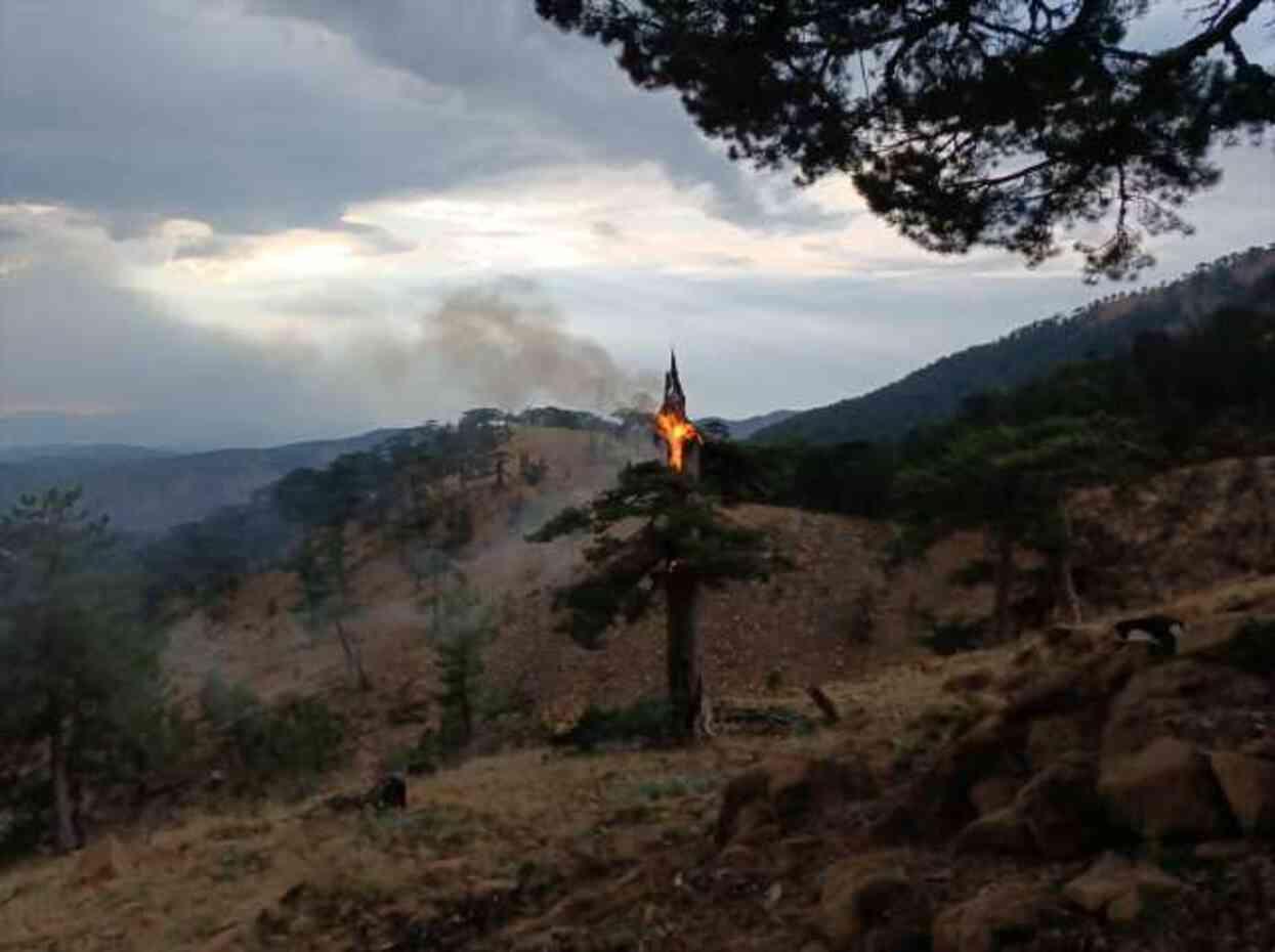 Muğla'da bir günde 11 yıldırım yangını çıktı