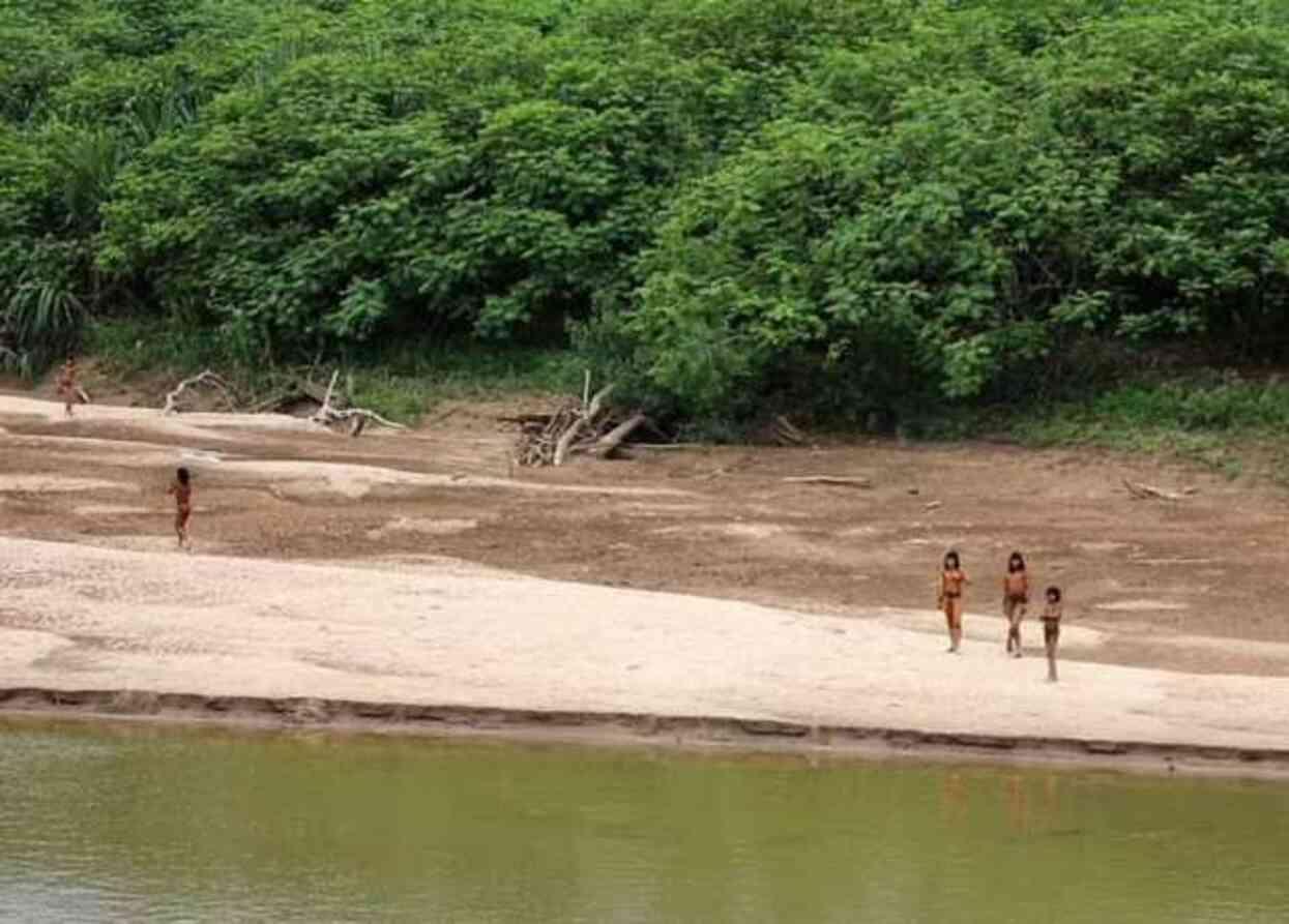 Dış dünya ile hiçbir bağlantısı olmayan Mashco-Piro kabilesinin üyeleri, Peru ormanlarında kameralar tarafından görüntülendi