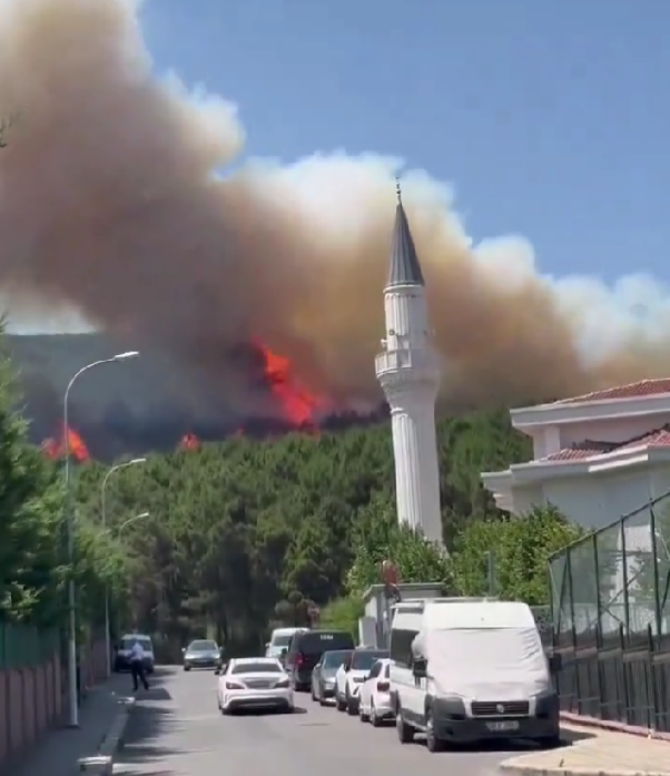 İstanbul'daki Aydos Ormanı'nda yangın çıktı! Alevler yerleşim yerlerine doğru ilerliyor