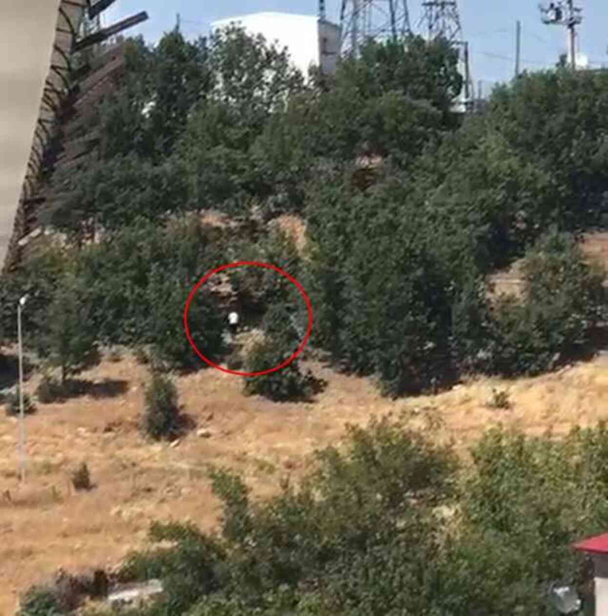 Bingöl'de madde bağımlısı şahıs sokaktakilere bıçakla saldırdı! 2 kişi öldü, 7 kişi yaralandı Bingöl'de madde bağımlısı şahıs sokaktakilere bıçakla saldırdı! 2 kişi öldü, 7 kişi yaralandı