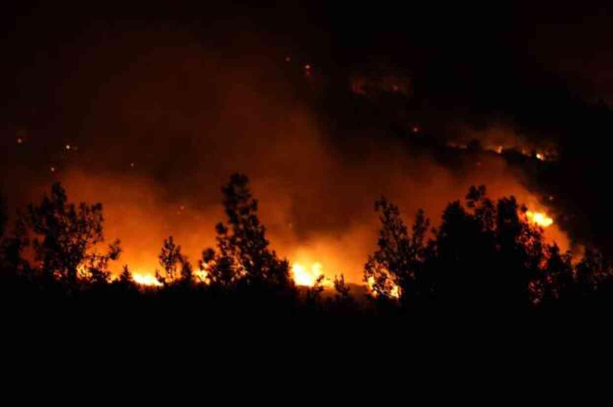 İzmir Urla'da saatlerdir söndürülemeyen yangında 1 kişi gözaltına alındı