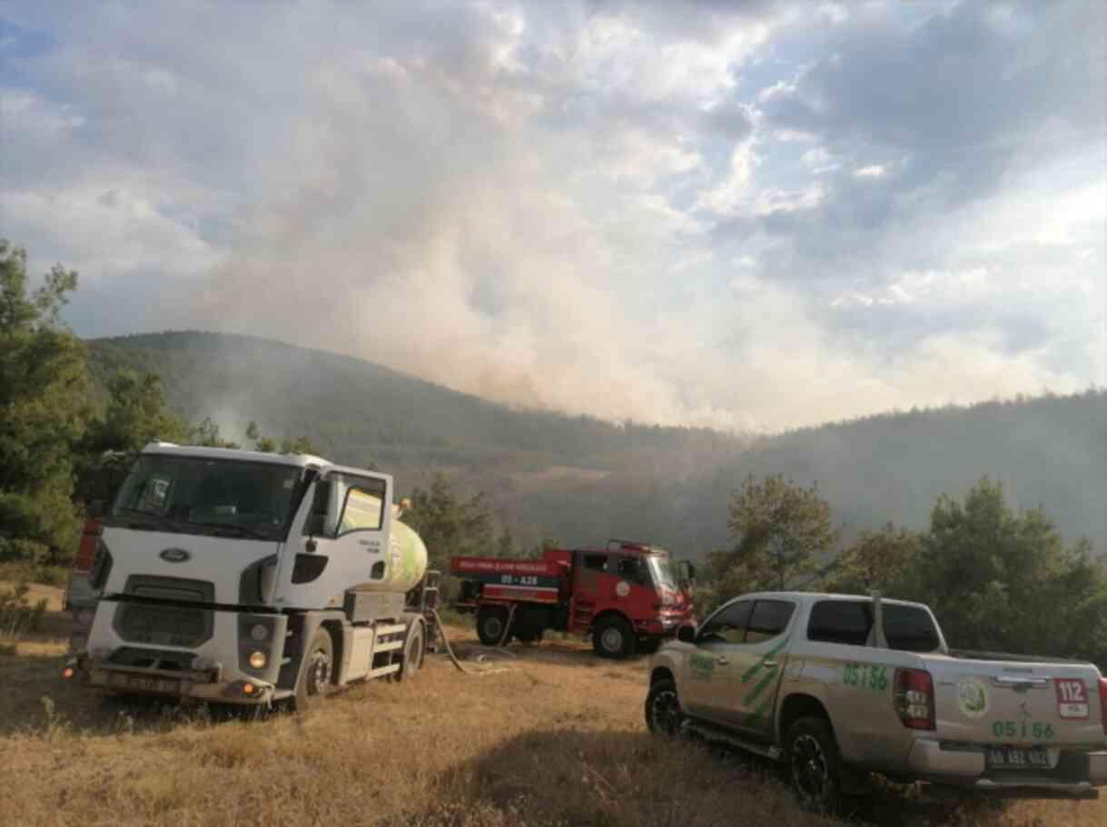 Bursa ve Tokat'ta orman yangını çıktı, ekipler zamana karşı yarış başlattı