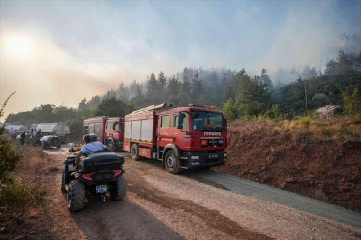 Bursa ve Tokat'ta orman yangını çıktı, ekipler zamana karşı yarış başlattı