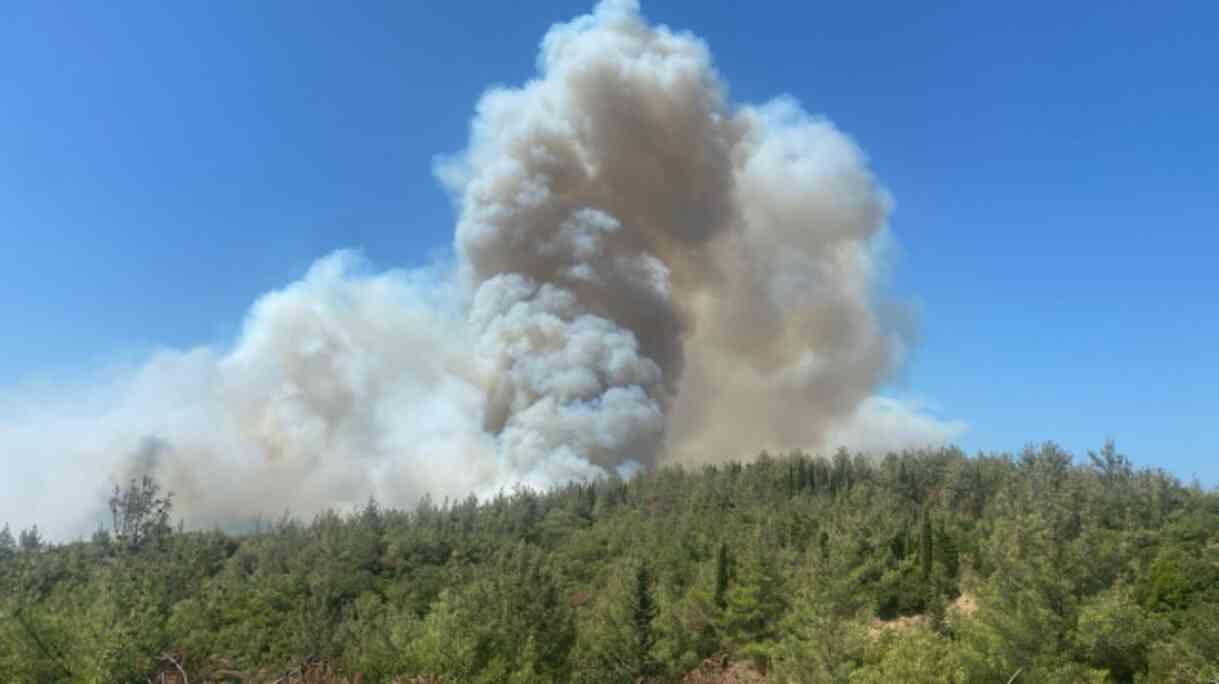 Çanakkale'de orman yangını! Şehitlik ve Conkbayırı ziyarete kapatıldı