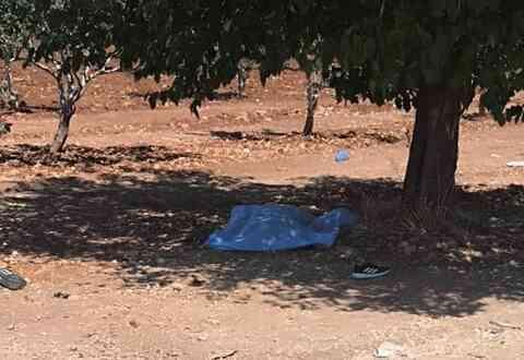 Şanlıurfa'da genç öğretmenin cesedi fıstık bahçesinde bulundu