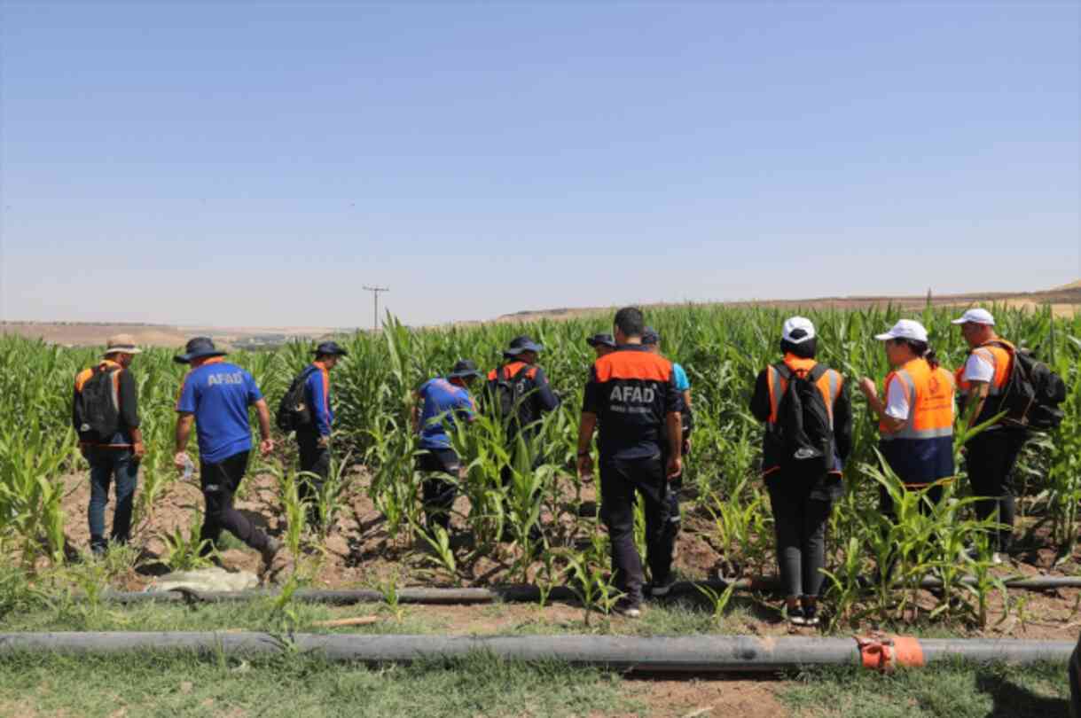 Tüm yollar yine aynı isme çıkıyor! Narin'in annesinin sözleri kafaları karıştırdı