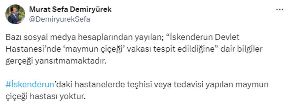 İskenderun'da maymun çiçeği vakası mı tespit edildi? Kaymakamdan açıklama var