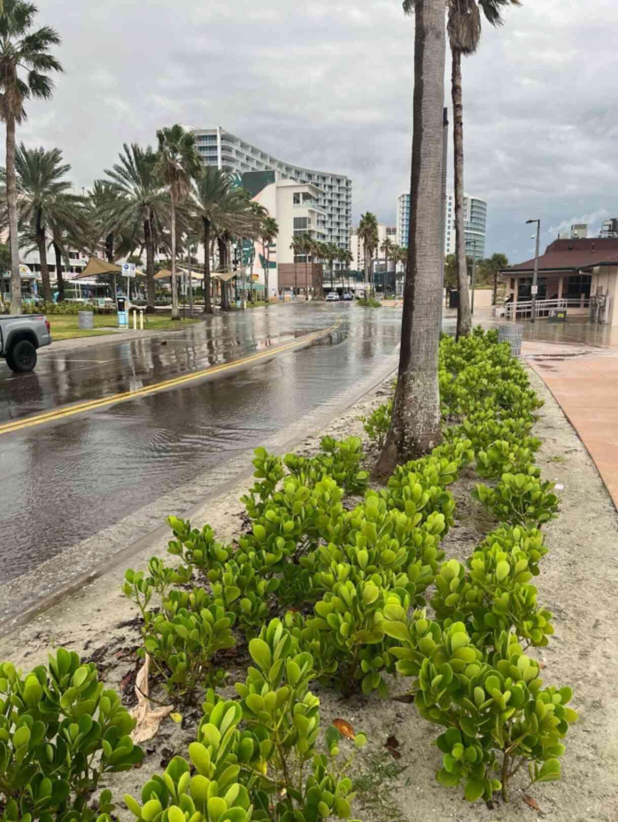 Helene Kasırgası, Florida'yı vurdu! OHAL ilan edildi