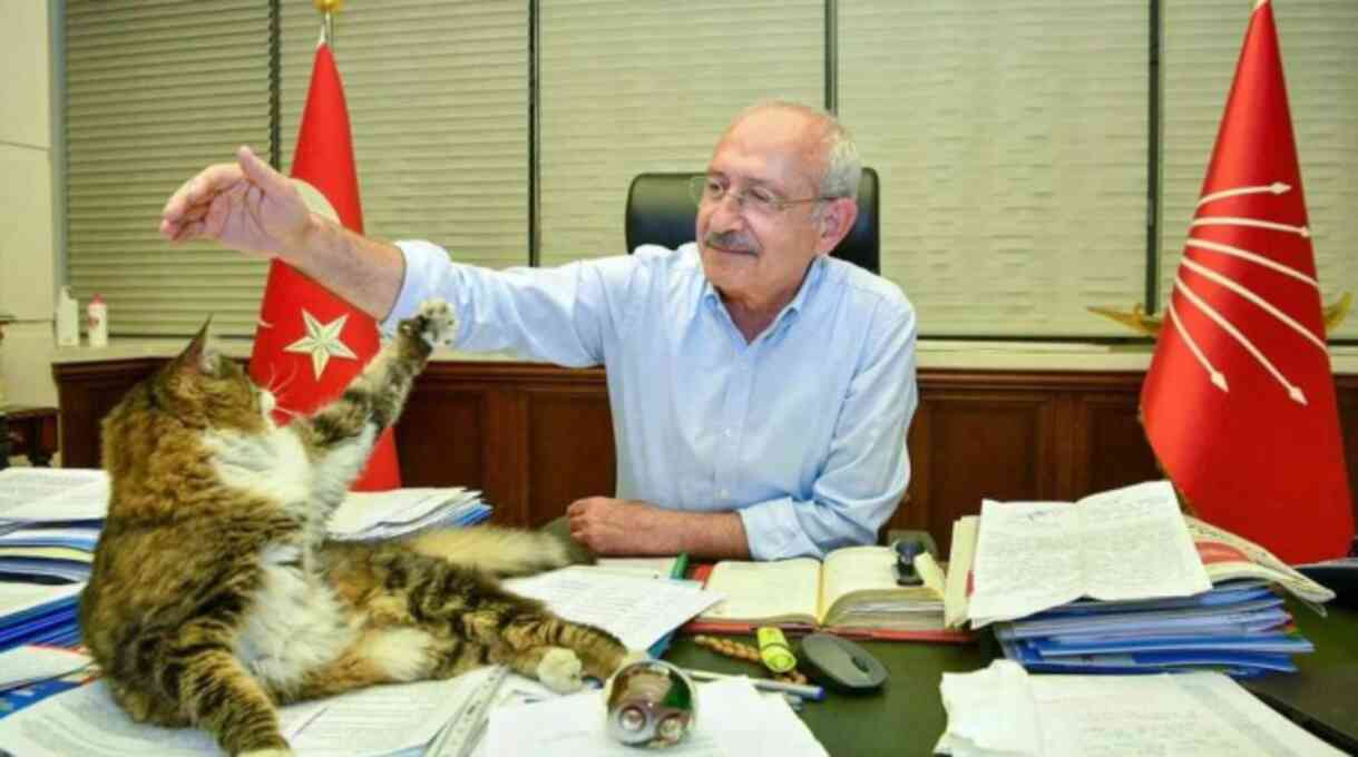 CHP'nin maskotu 'Şero' hayatını kaybetti CHP'nin maskotu 'Şero' hayatını kaybetti