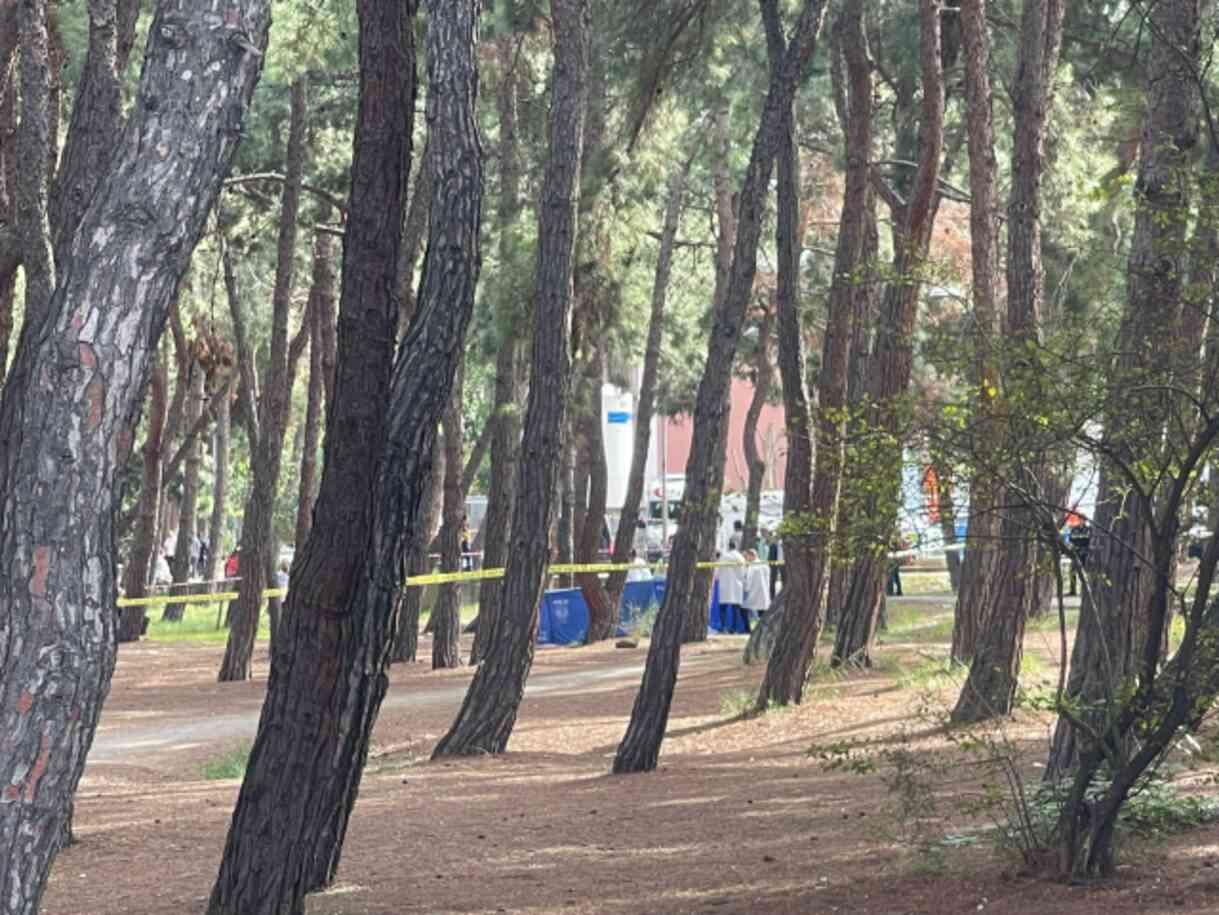 Hastane bahçesinde eşini öldürüp intihar eden adamın 22 suç kaydı ortaya çıktı